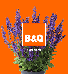 Gift Cards - buy online, spend online or in-store