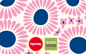 Homesense Pink Daisy Floral